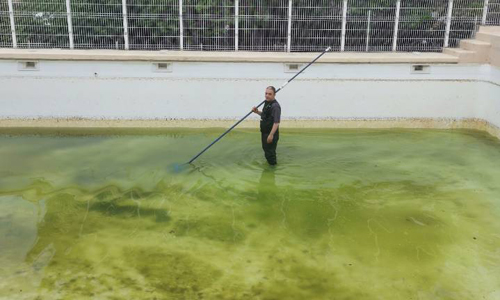 Entretien piscine avant