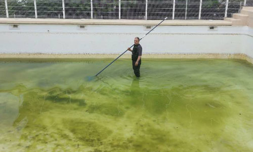Entretien piscine coproprit Marseille